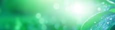SGS