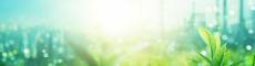 2026 SEAL Environmental Initiative Award