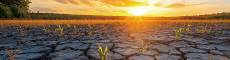  2025 Asia-Pacific Climate Leaders